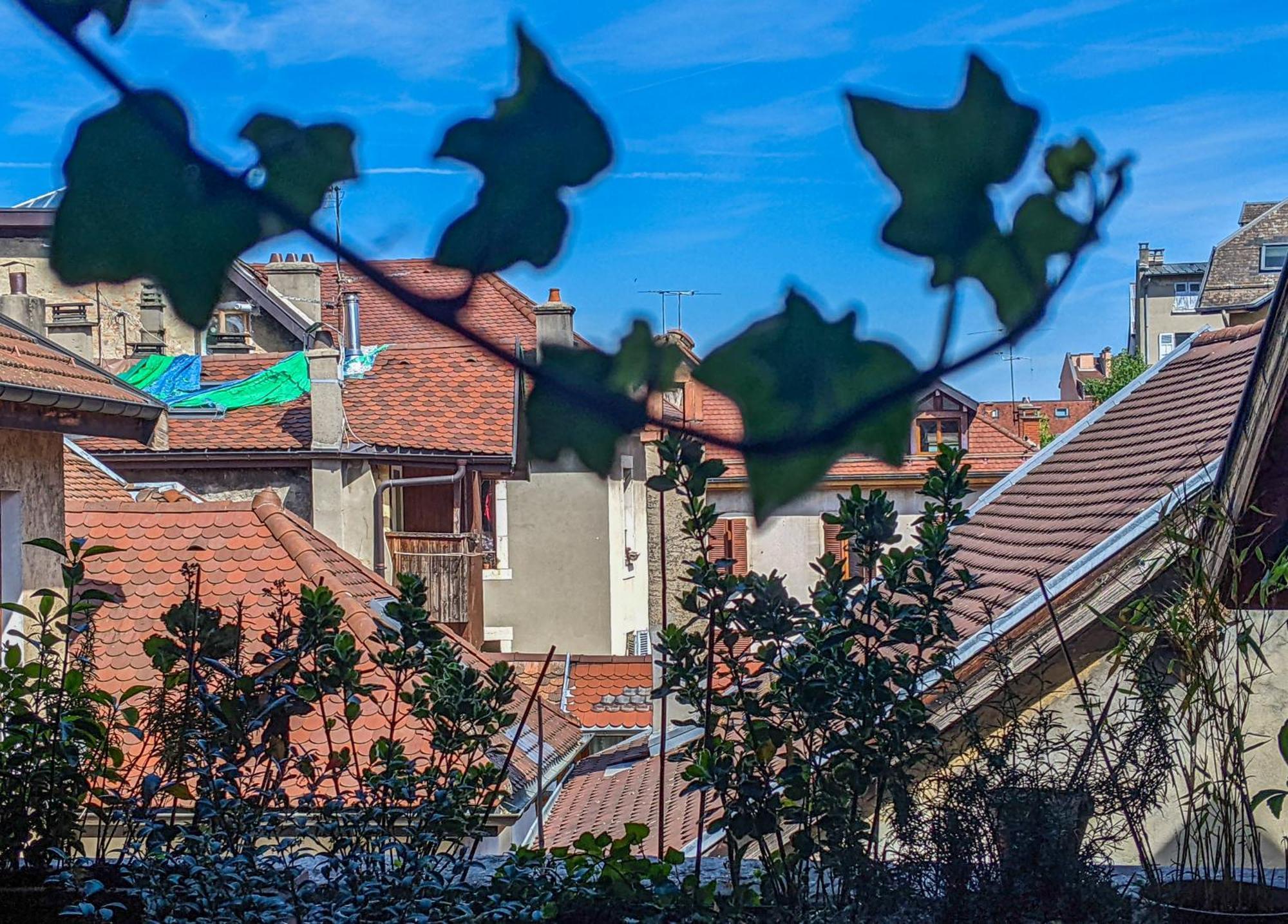 Bed and Breakfast Nid Douillet Annecy Exteriér fotografie